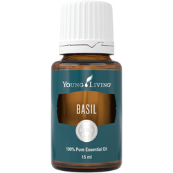 Basilikum (Basil) – Produktbild