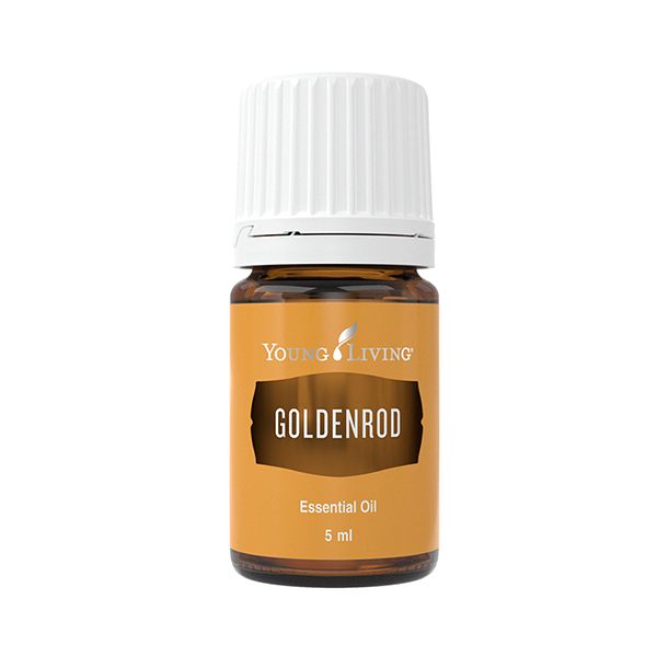 Goldrutenöl (Goldenrod) – Produktbild