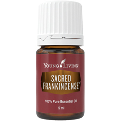 Heiliger Weihrauch (Sacred Frankincense) – Produktbild