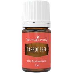 Karottensamen (Carrot Seed) – Produktbild
