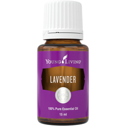 Lavendel (Lavender) – Produktbild