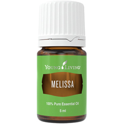 Melisse (Melissa) – Produktbild