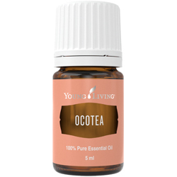 Ocotea – Produktbild