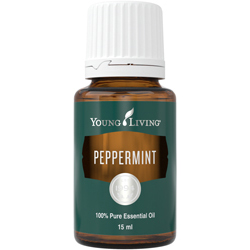 Pfefferminze (Peppermint) – Produktbild