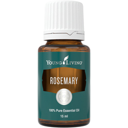 Rosmarin (Rosemary) – Produktbild