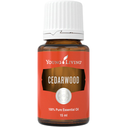 Zedernholz (Cedarwood) – Produktbild