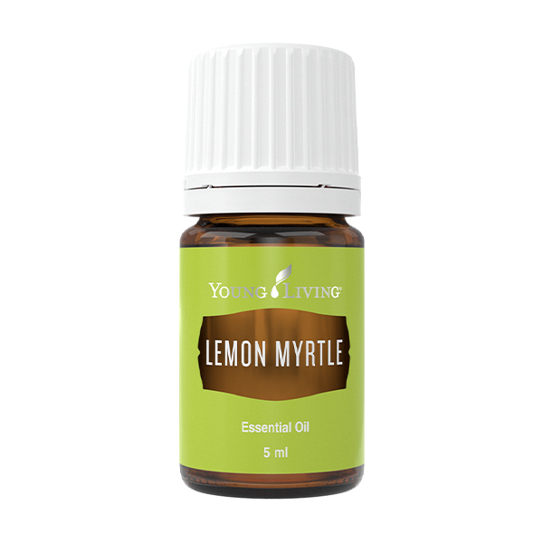 Zitronenmyrte (Lemon Myrtle) – Produktbild